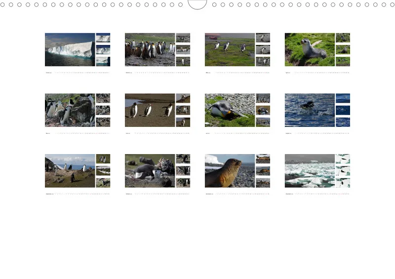 Antarktis 2026