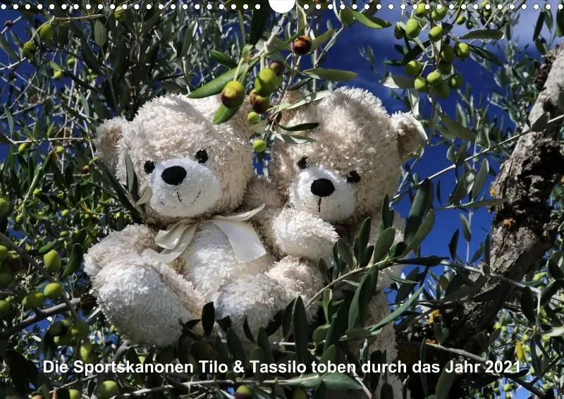 Bären toben durch 2021
