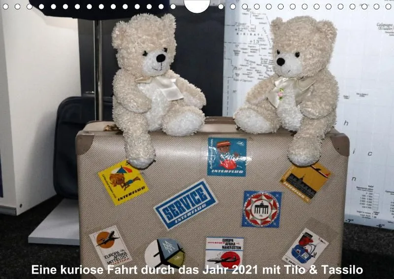 Bären auf kurioser Fahrt durch 2021 (A4)