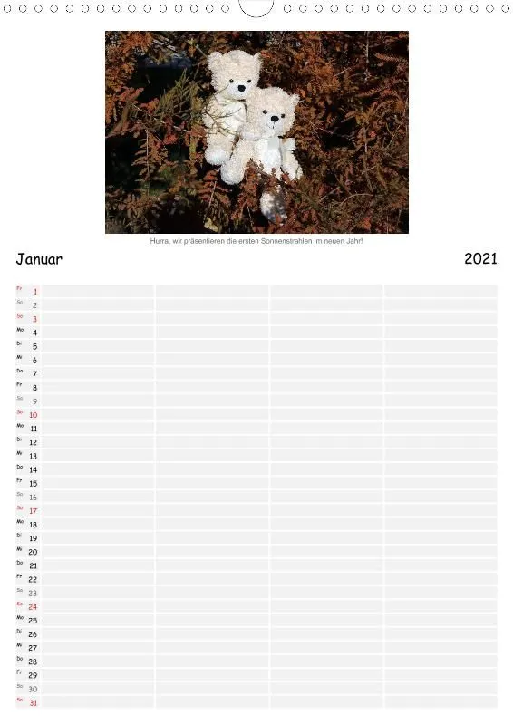 Zwei Bären in der Natur 2021