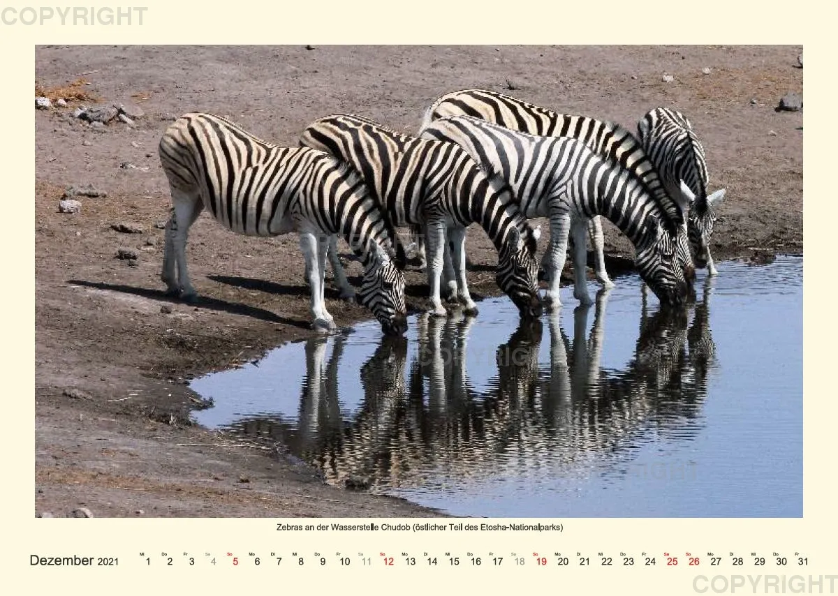 Namibia 2021 (v2)