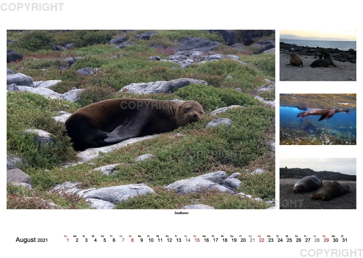 Galapagos 2021 (A2)