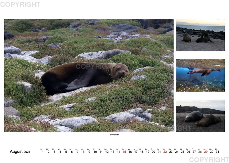 Galapagos 2021 (A2)