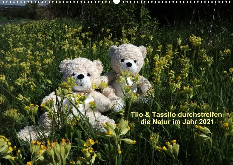 Zwei Bären in der Natur 2021 (A2)