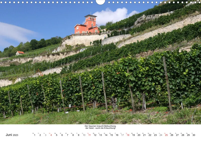 Weine aus Saale-Unstrut 2023