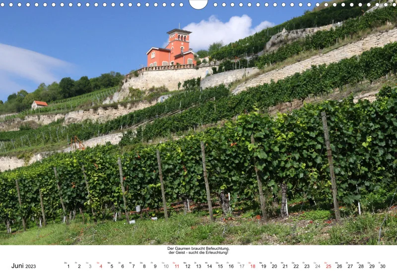 Weine aus Saale-Unstrut 2023