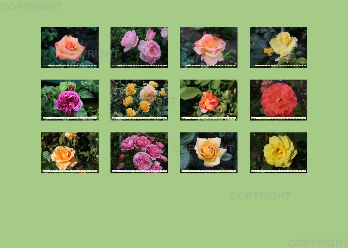 Rosen 2021 (v11)
