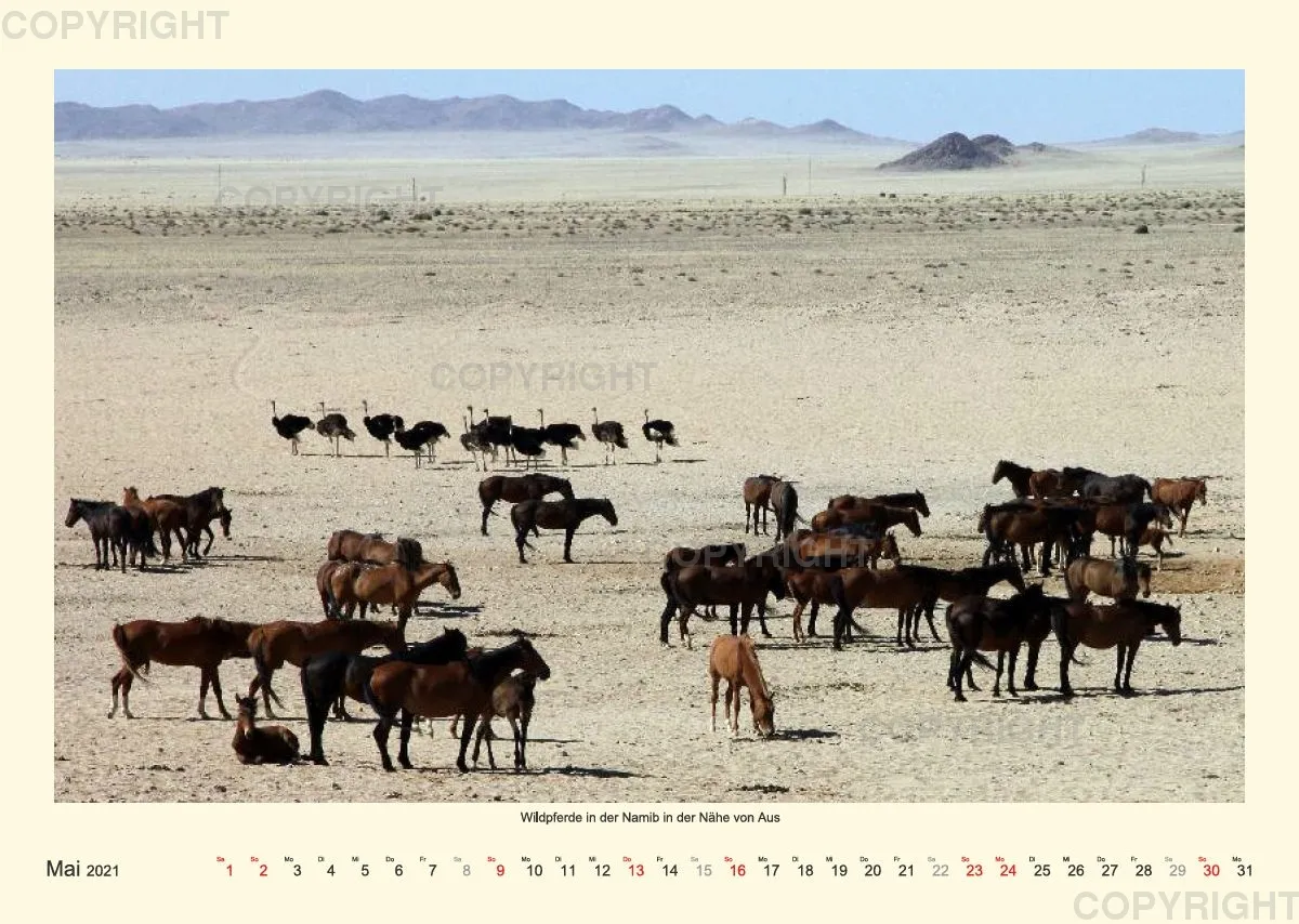 Namibia 2021 (v2)
