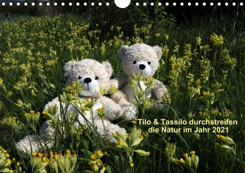 Zwei Bären in der Natur 2021 (A4)