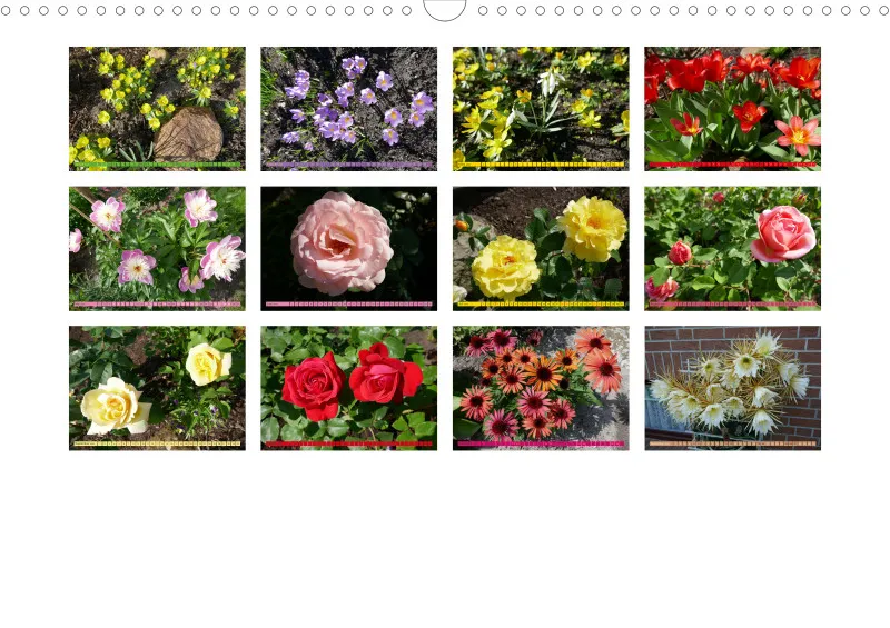 Blumen 2026