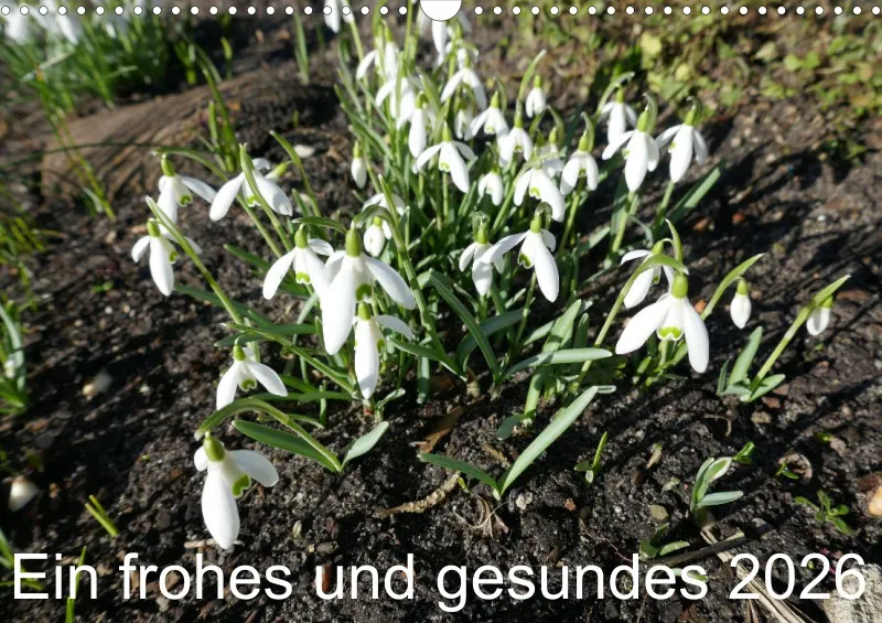 Blumen 2026