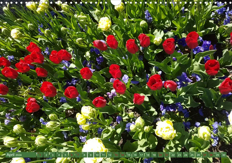 Blumen 2024