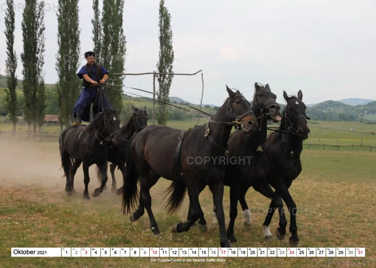 Balaton 2021