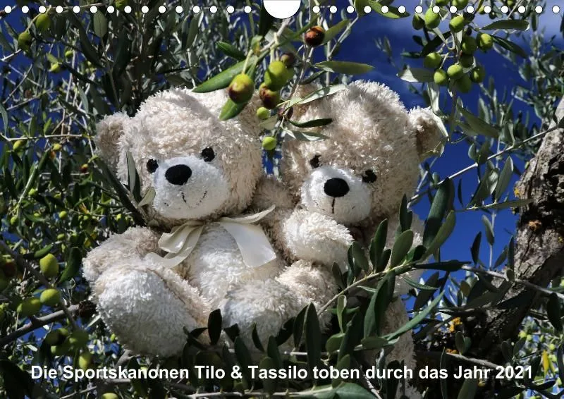 Bären toben durch 2021 (A4)