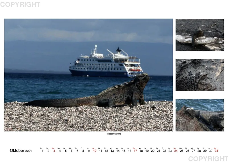 Galapagos 2021 (A2)