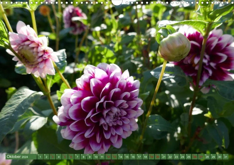Blumen 2024