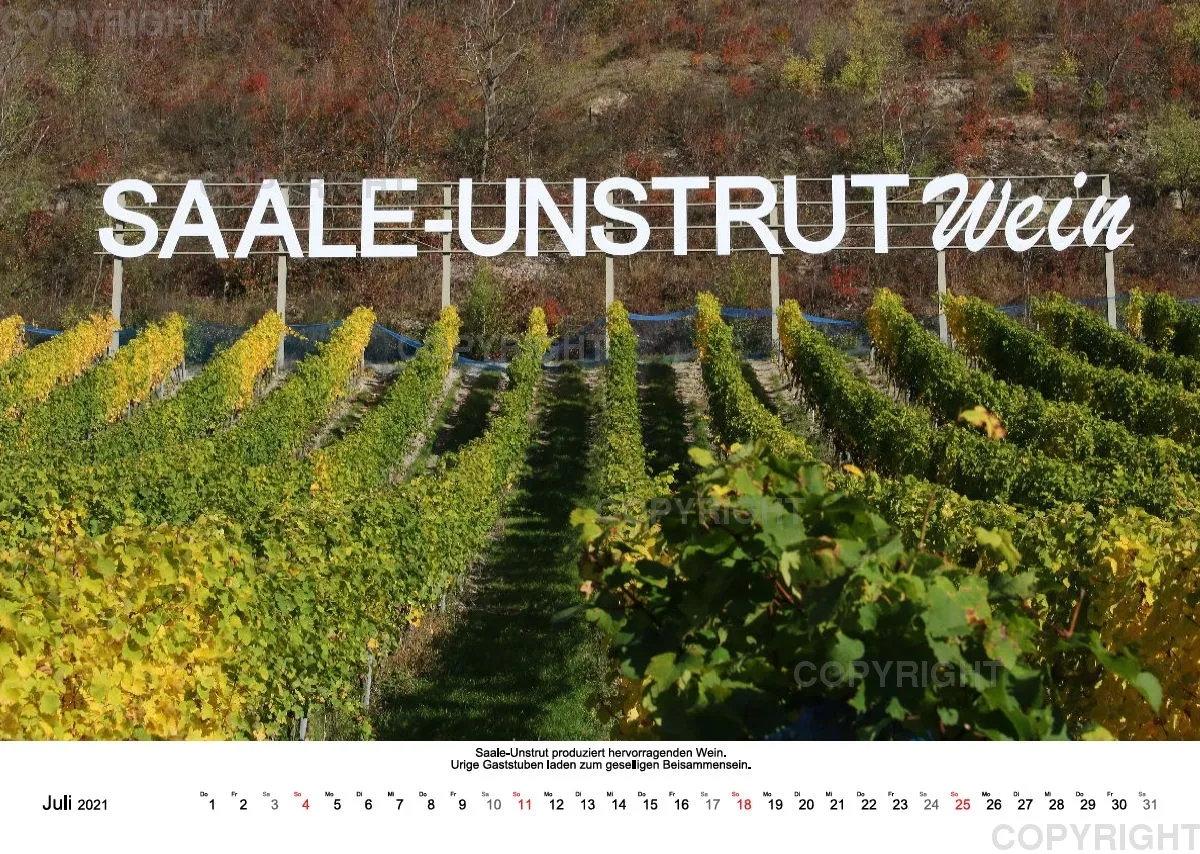 Weine aus Saale-Unstrut 2021