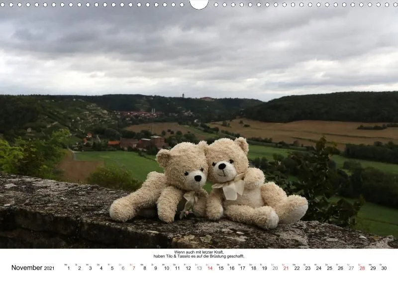 Bären toben durch 2021