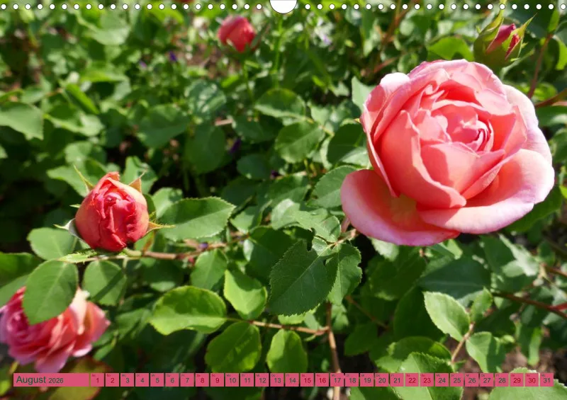 Blumen 2026