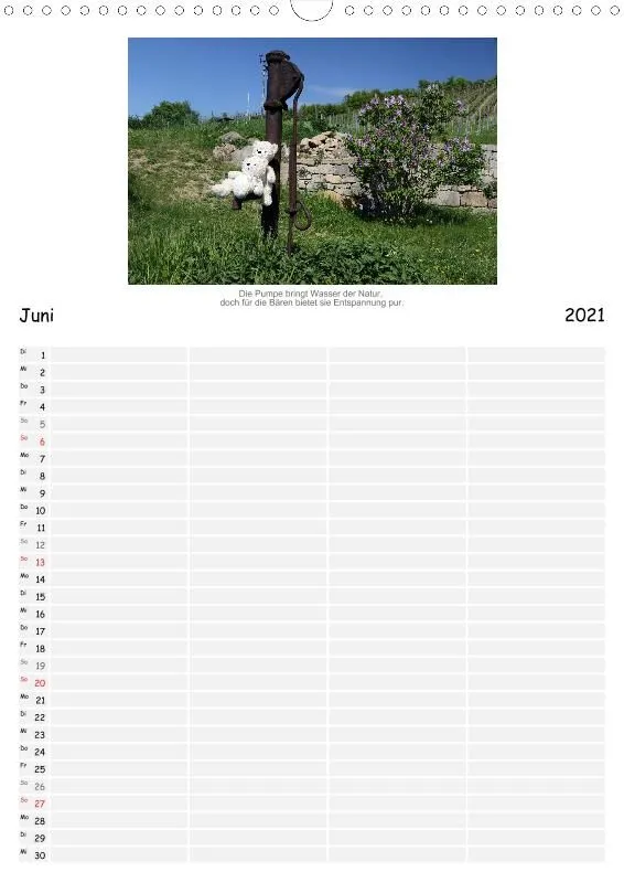 Zwei Bären in der Natur 2021