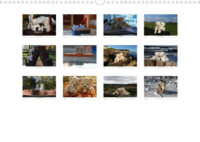 Bären toben durch 2021
