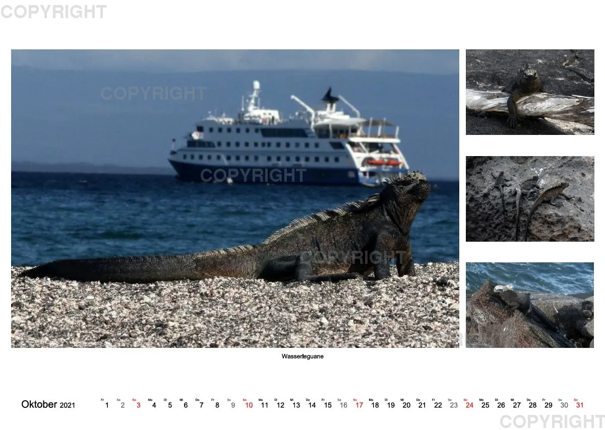 Galapagos 2021