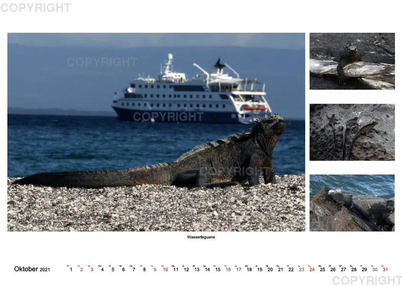 Galapagos 2021