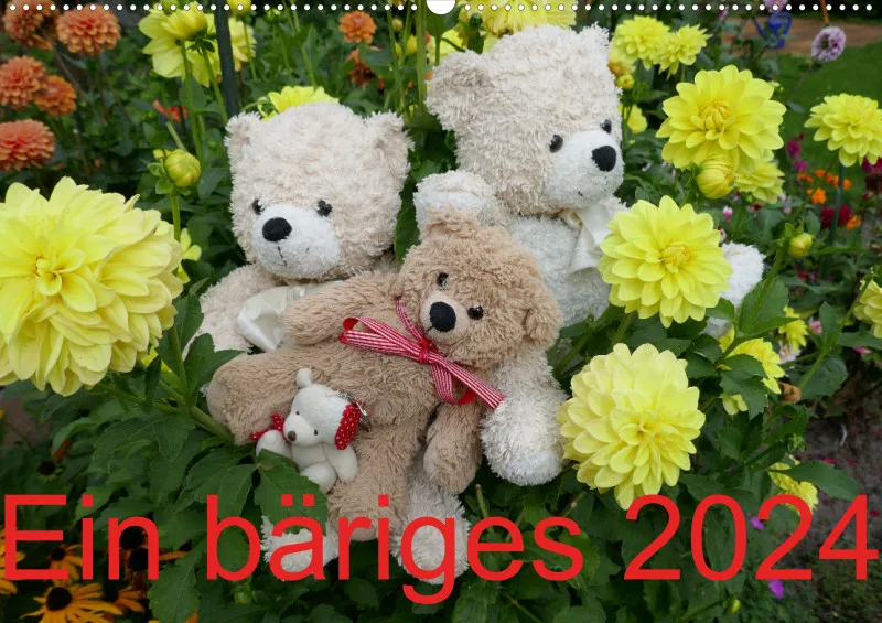 Bären 2024 A2