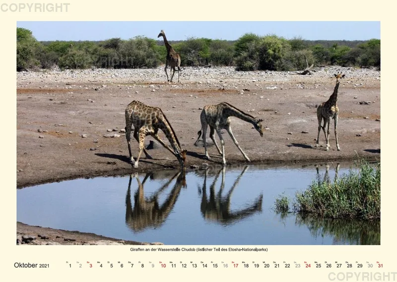 Namibia 2021 (v2)