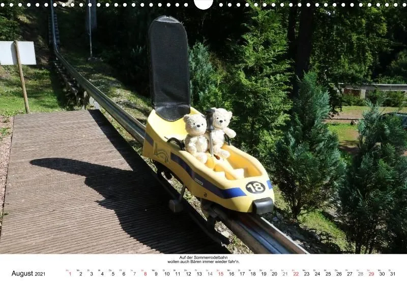 Bären auf kurioser Fahrt durch 2021