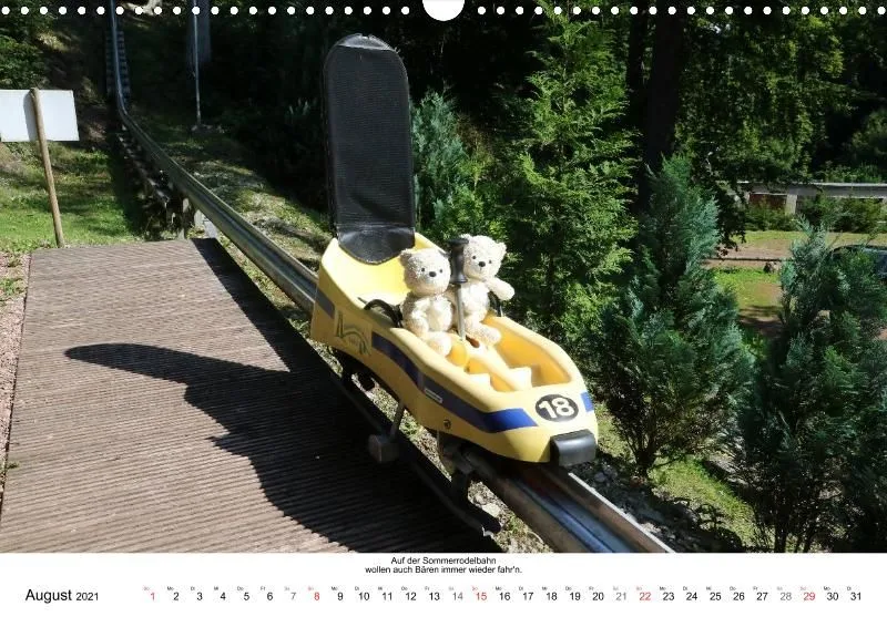 Bären auf kurioser Fahrt durch 2021