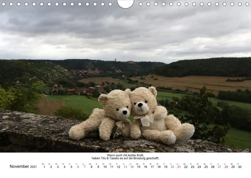 Bären toben durch 2021 (A4)