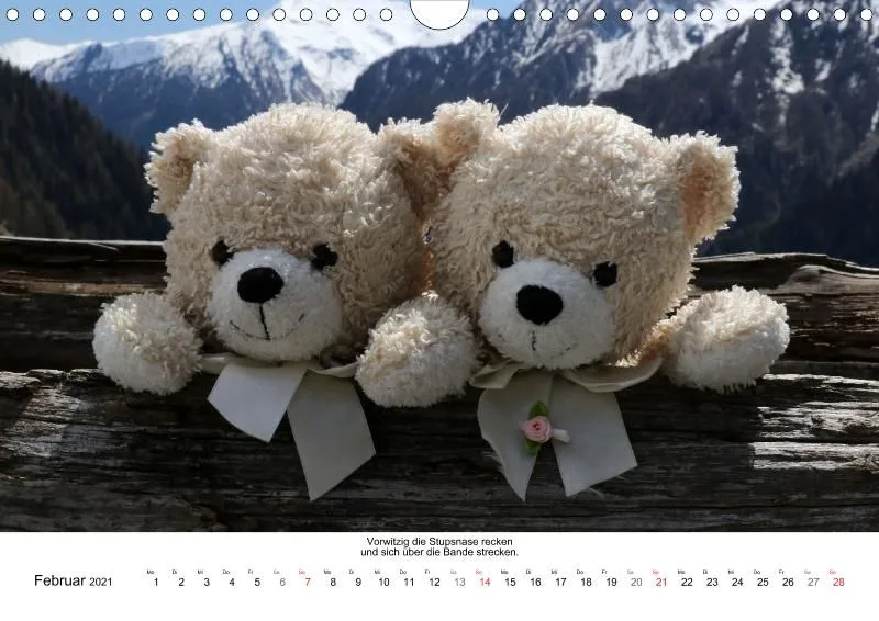 Bärige Fotomotive 2021 (A4)