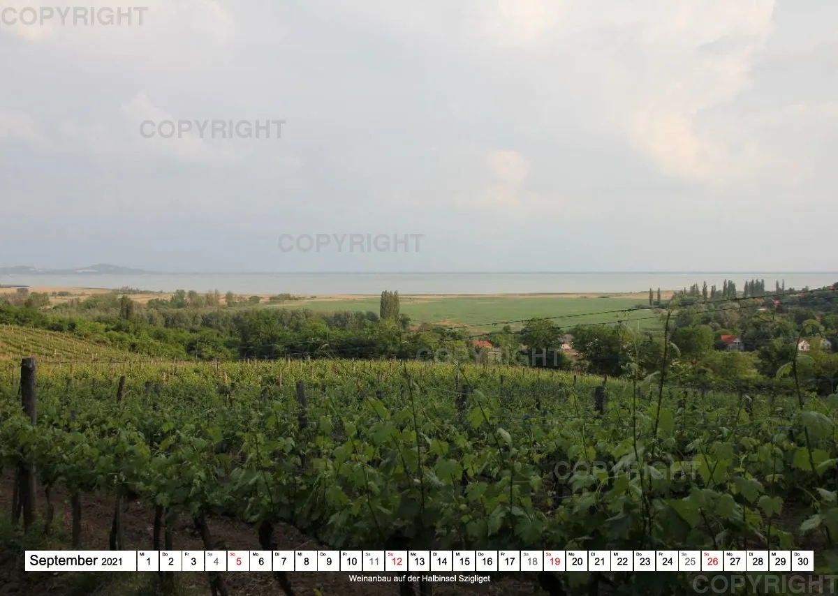Balaton 2021
