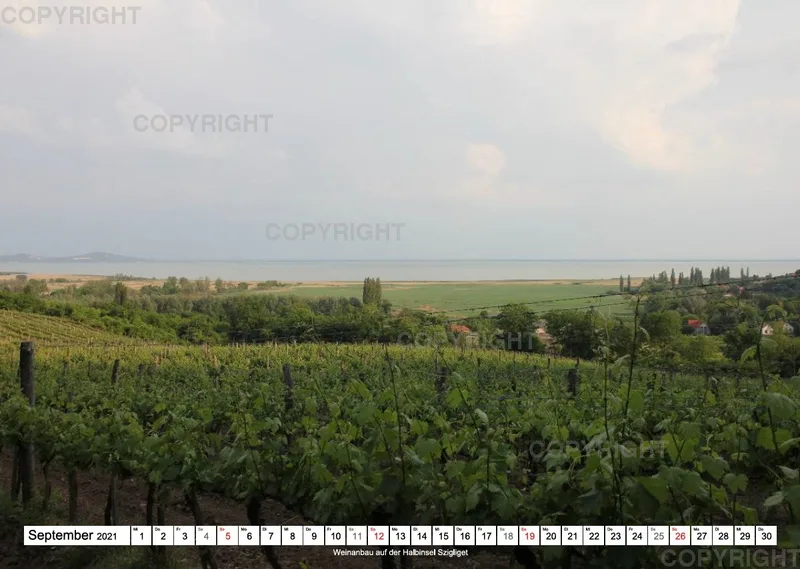 Balaton 2021
