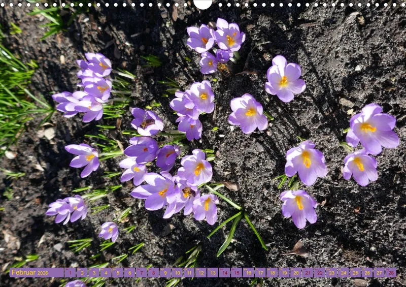 Blumen 2026
