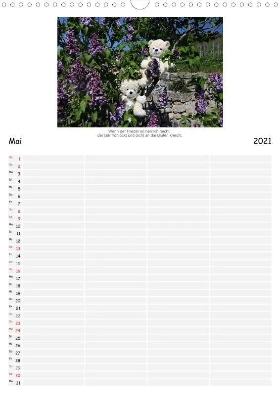 Zwei Bären in der Natur 2021