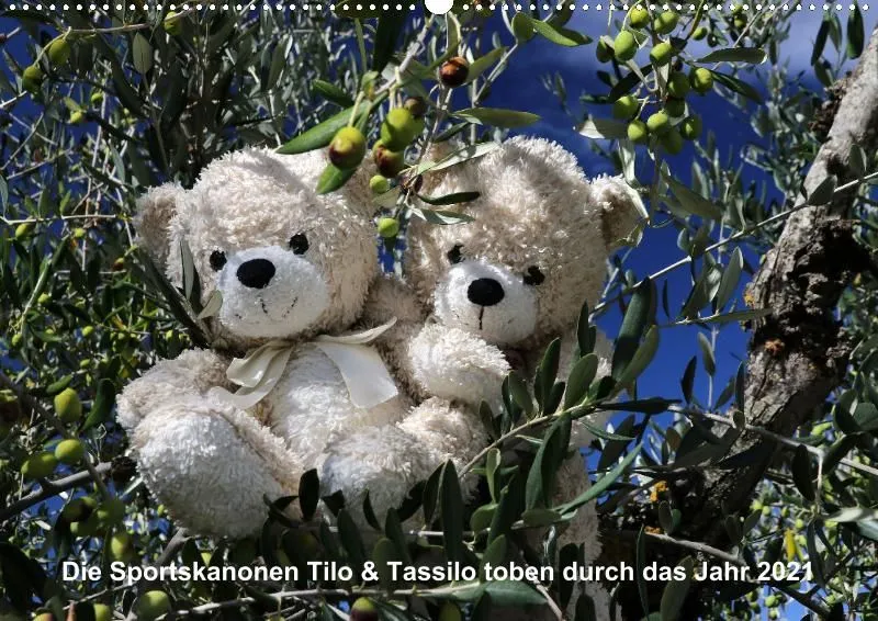 Bären toben durch 2021 (A2)