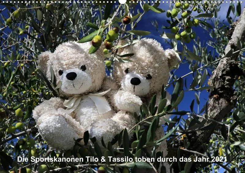 Bären toben durch 2021 (A2)