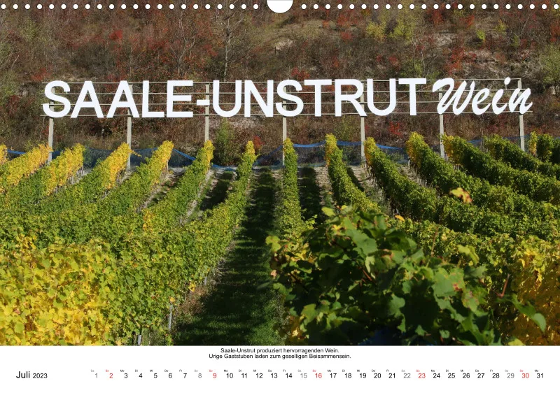 Weine aus Saale-Unstrut 2023