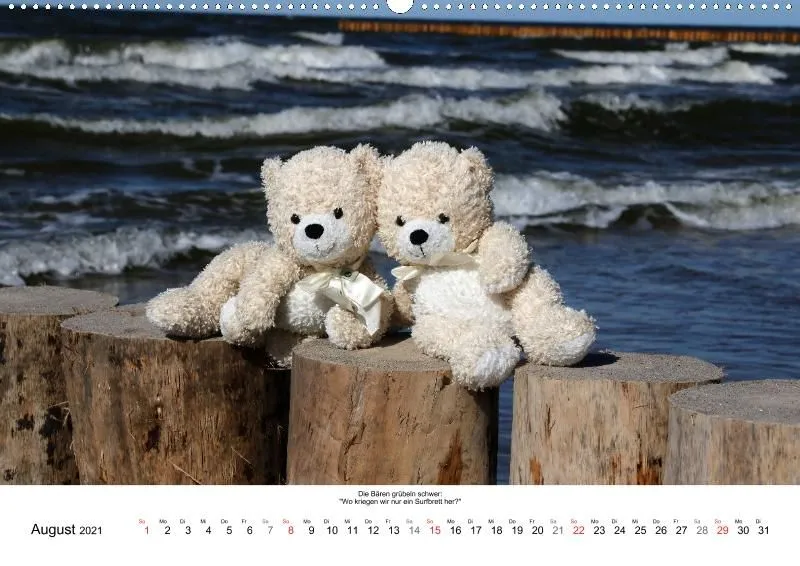 Bären toben durch 2021 (A2)