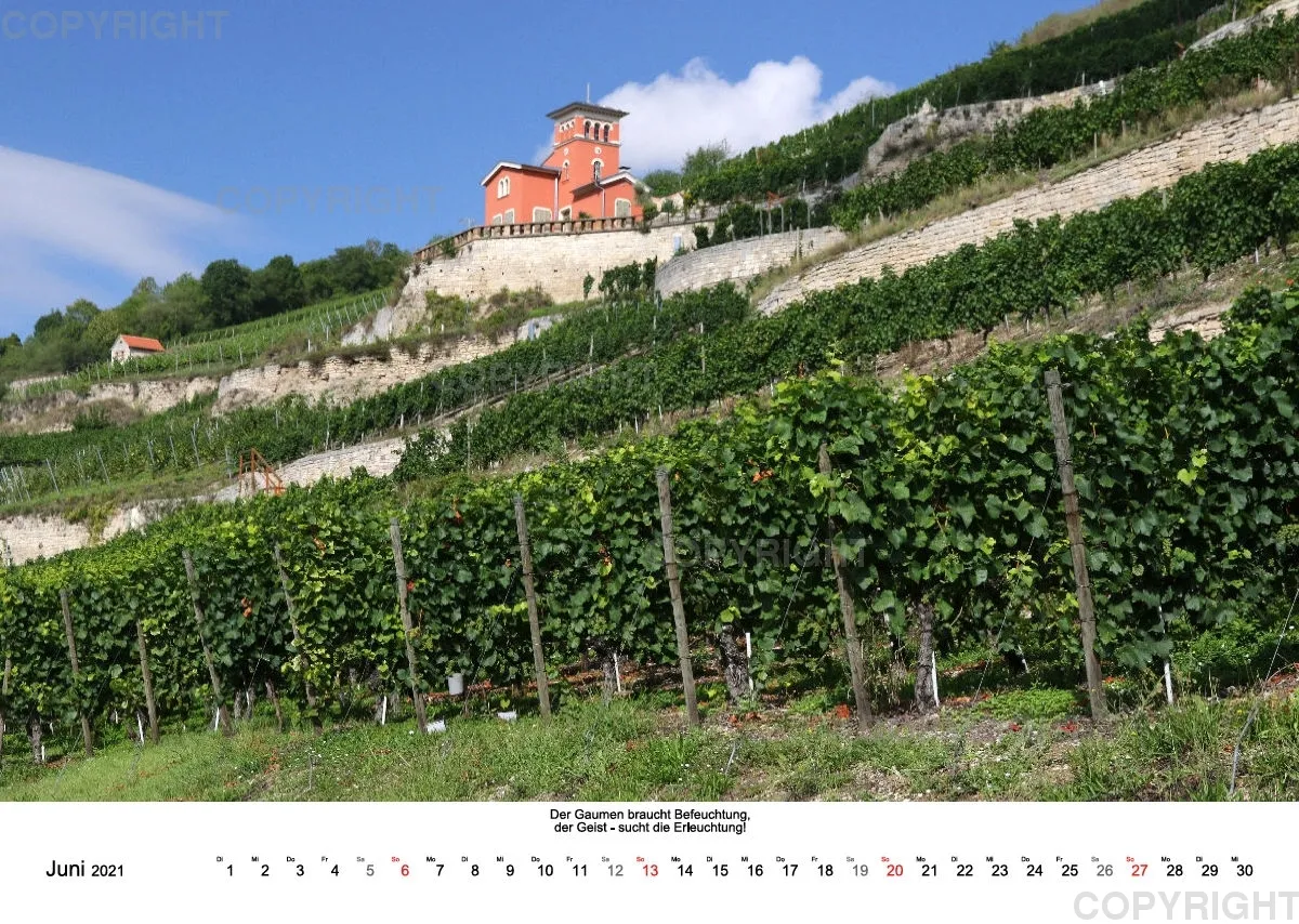 Weine aus Saale-Unstrut 2021