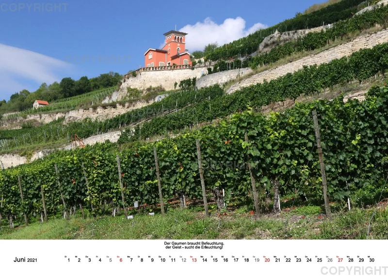 Weine aus Saale-Unstrut 2021