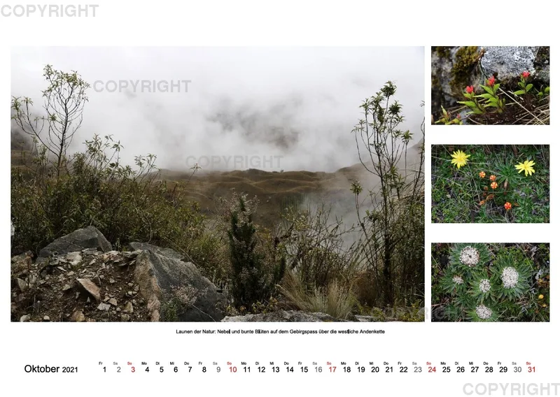 Ecuador 2021 (A2)