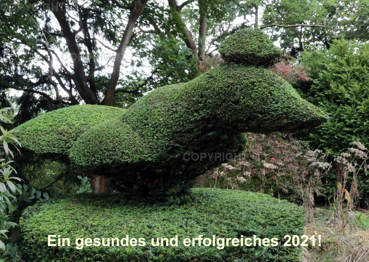 Britische Landschaftsgärten 2021