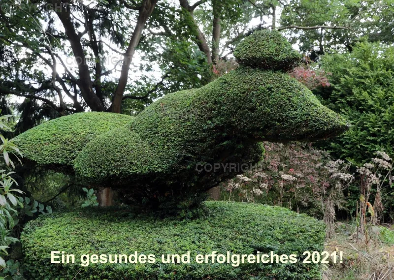 Britische Landschaftsgärten 2021