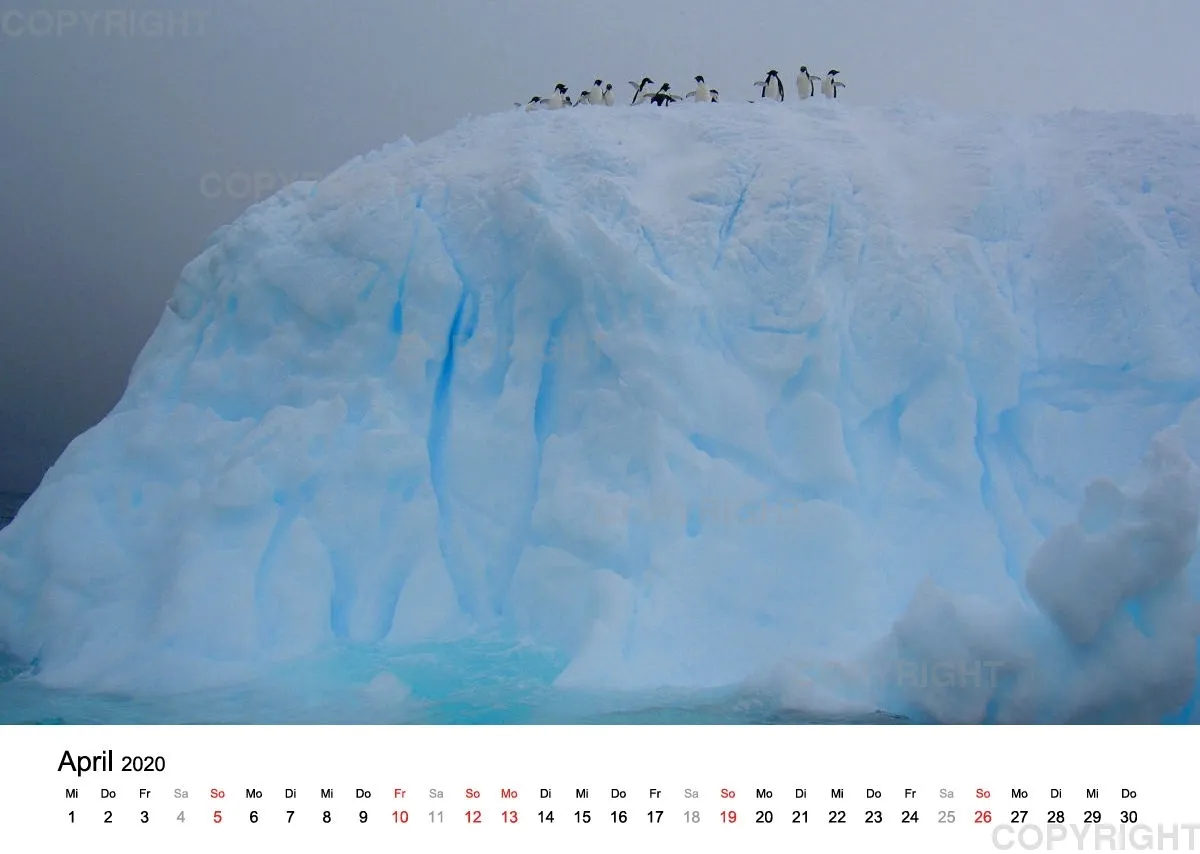 Antarktis Kalender 2020