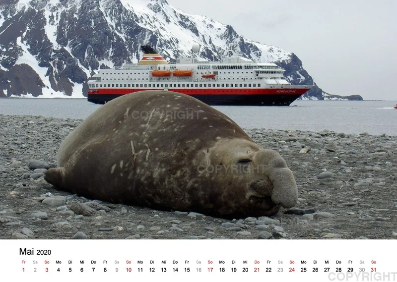 Antarktis Kalender 2020