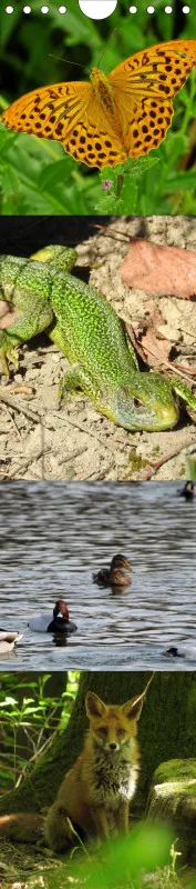 Tieraufnahmen