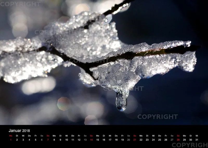 Fotokalender / Nr. 11